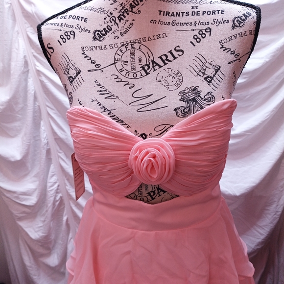 Source Unknown Blush Ruffled Prom Gown - Picture 2 of 14